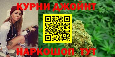сатива Кинель