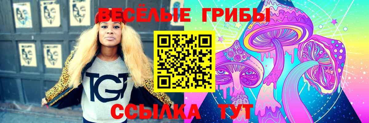Псилоцибиновые грибы Psilocybine cubensis Ярцево